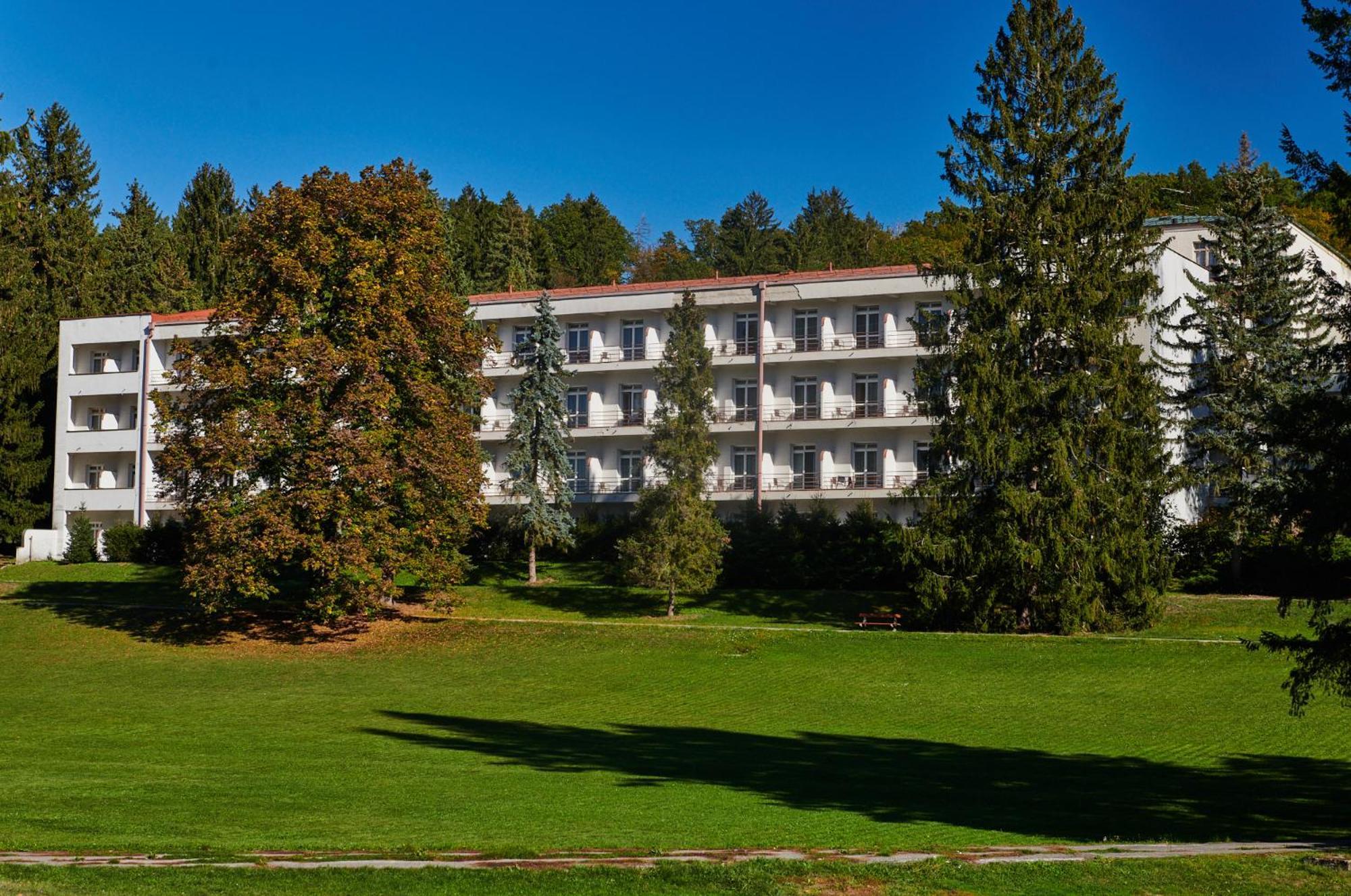 Hotel Palace - Kupele スリアチ エクステリア 写真
