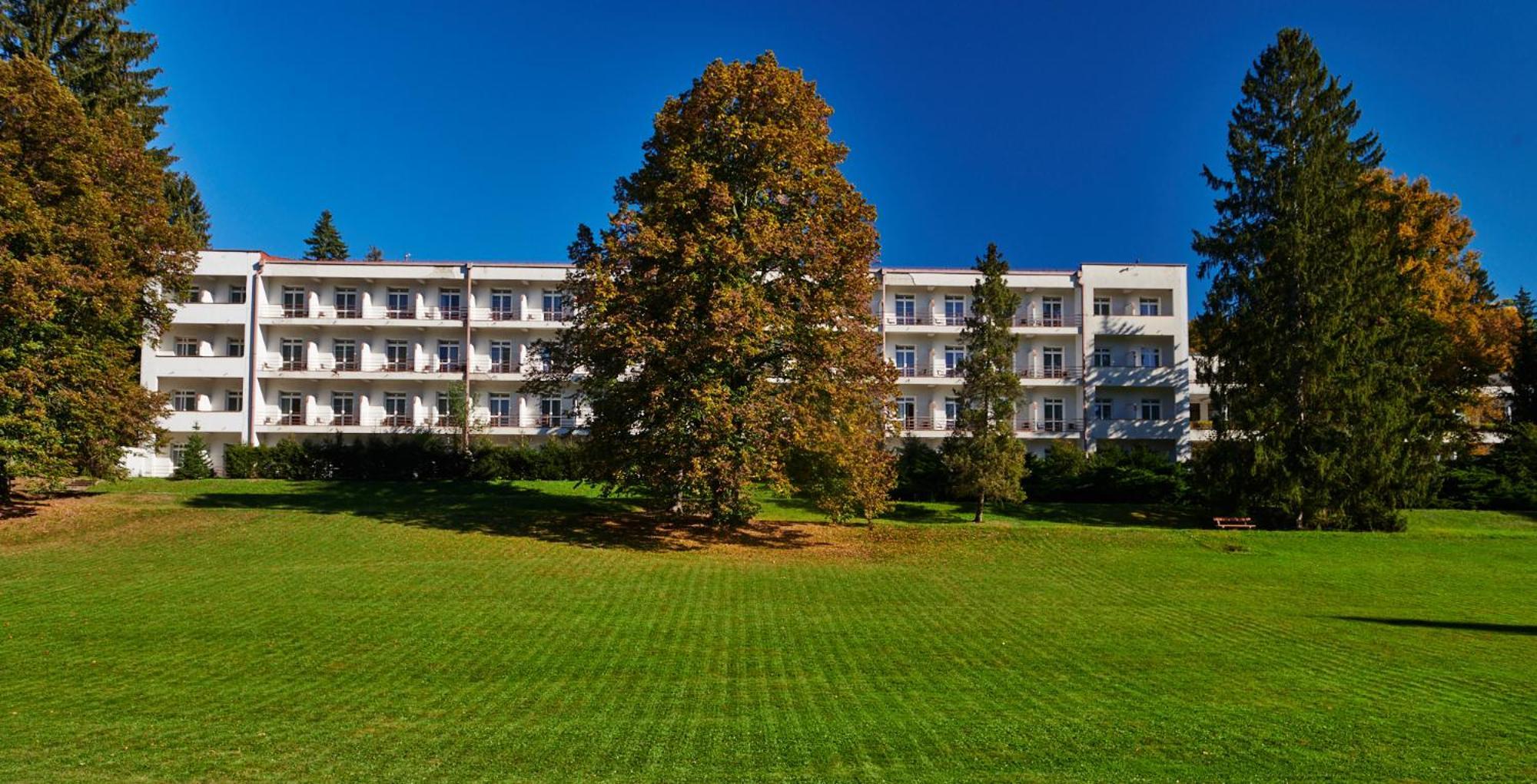 Hotel Palace - Kupele スリアチ エクステリア 写真